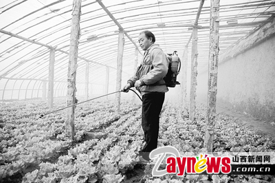 最新農(nóng)藥抽檢結(jié)果出爐，守護(hù)農(nóng)田安全，你我他的共同責(zé)任