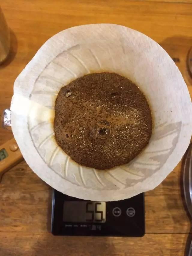 最新萃取法詳解，步驟指南與操作技巧