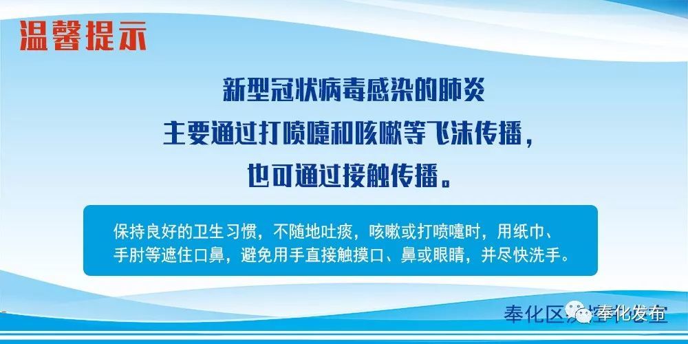 余姚最新確診背后的自然探索之旅，重拾心靈寧靜與平和