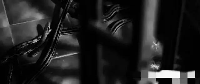 香港最新房價趨勢展望，2025年分析與展望