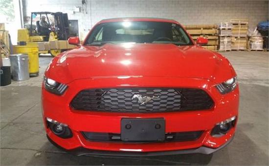 威路德最新款，小巷中的驚喜發(fā)現(xiàn)