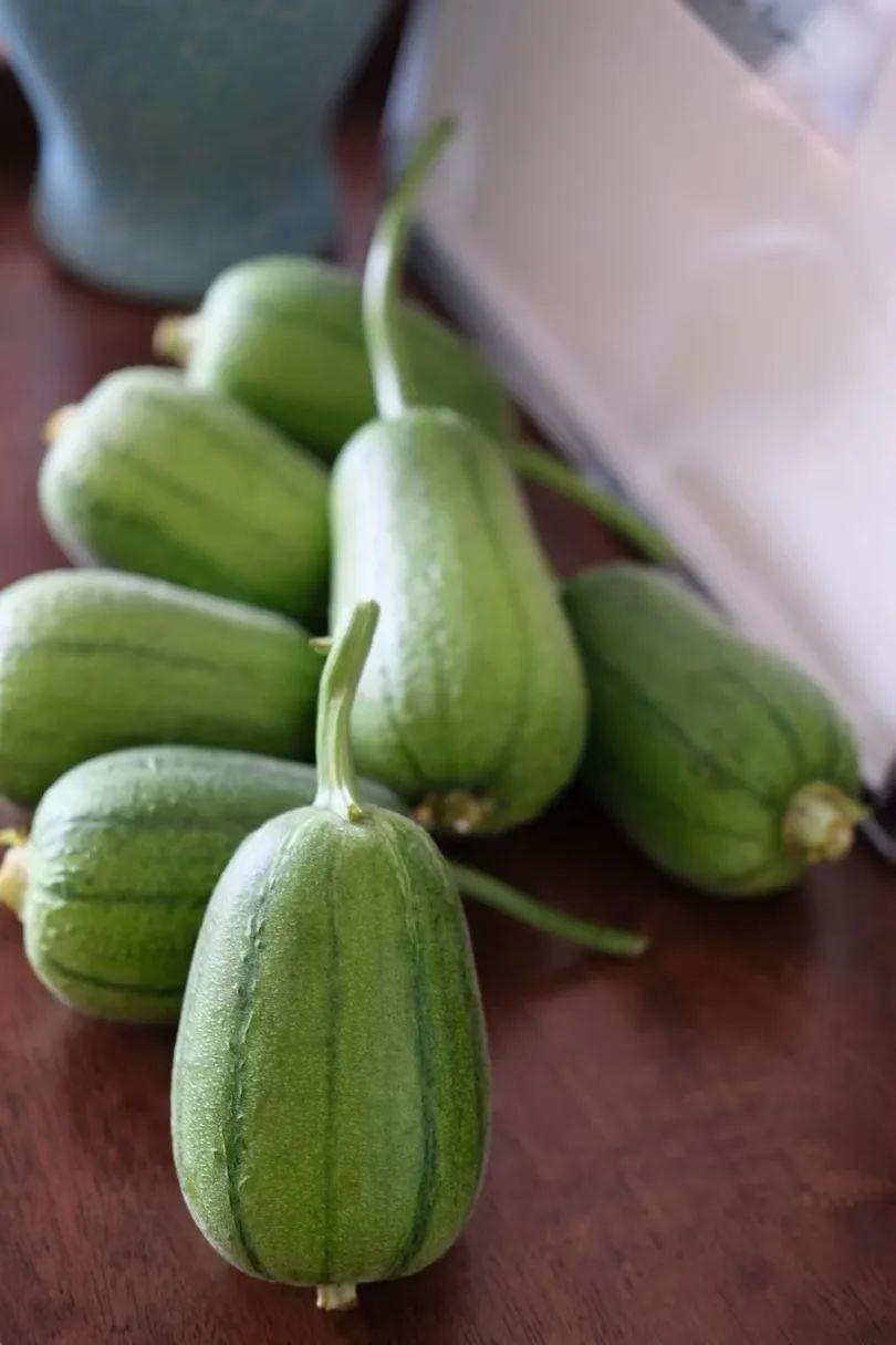 蘋果絲瓜最新版，全新升級魅力體驗