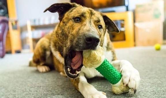 工礦燈具 第49頁