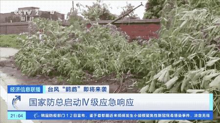 超強臺風鸚鵡來襲，最新路徑動態(tài)全解析???