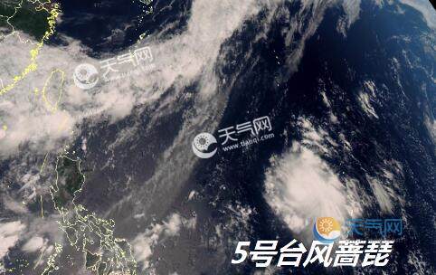 最新實(shí)時(shí)臺(tái)風(fēng)風(fēng)力查詢指南，風(fēng)力信息及查詢步驟全解析