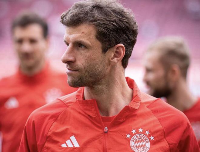 慕尼黑最新動(dòng)態(tài)，城市生活的溫馨日常