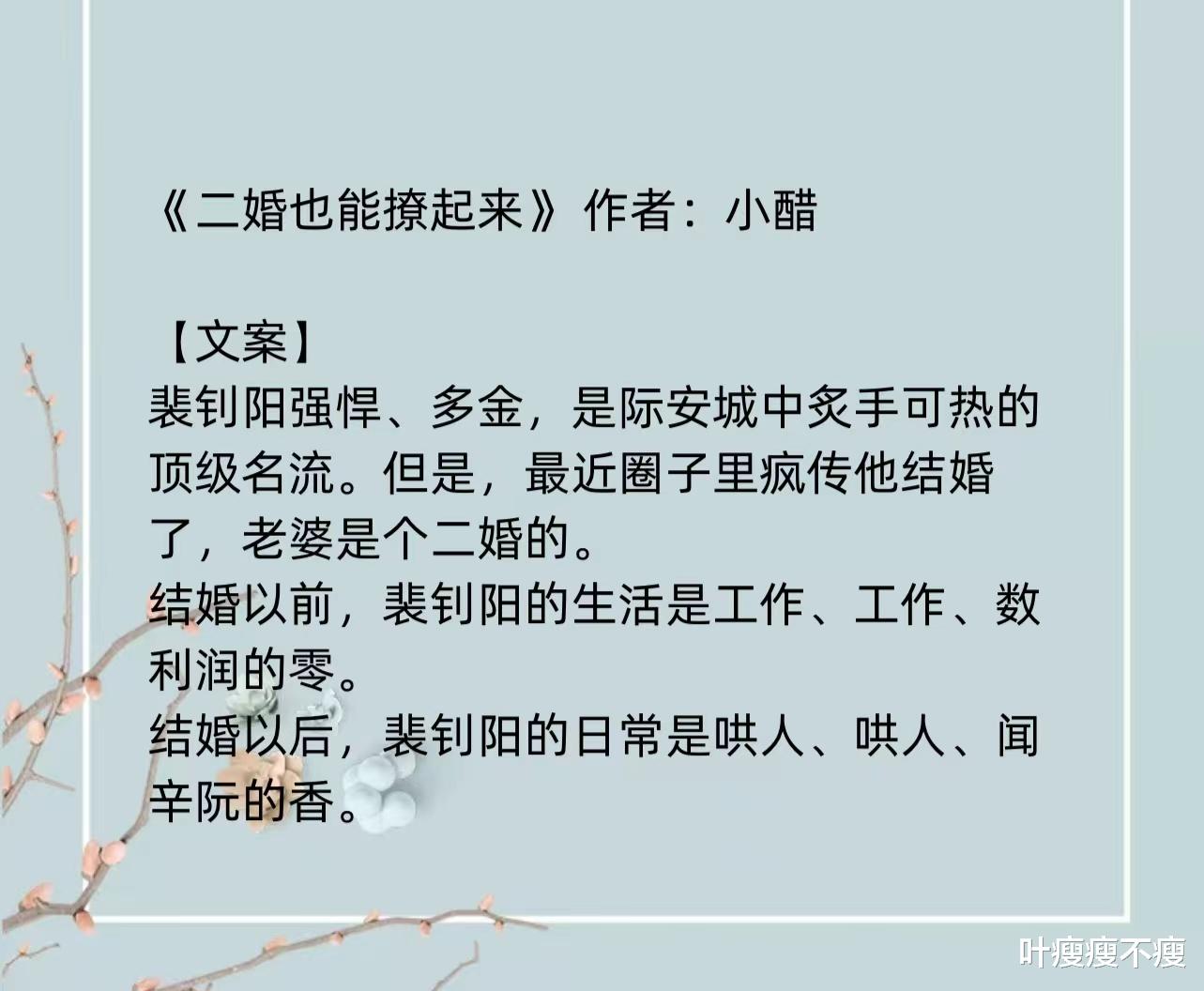 最新二婚小說，小巷深處的浪漫故事
