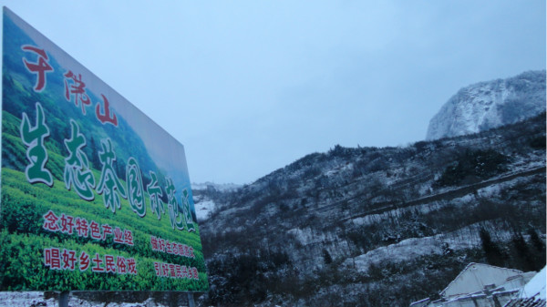 千佛山綿陽最新探索，巷弄深處的獨(dú)特風(fēng)味之旅