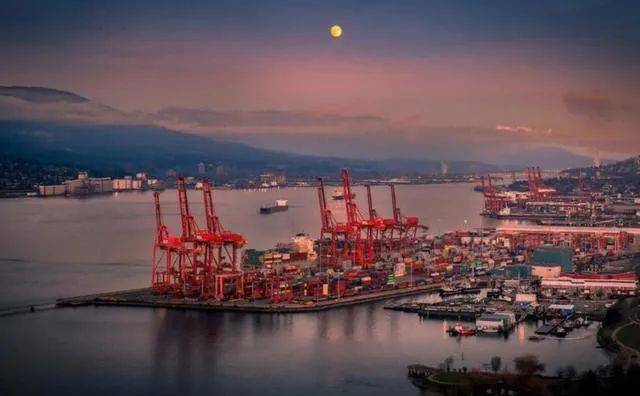 揭秘，53艘運煤船在華新動態(tài)與獨特煤香小店的故事