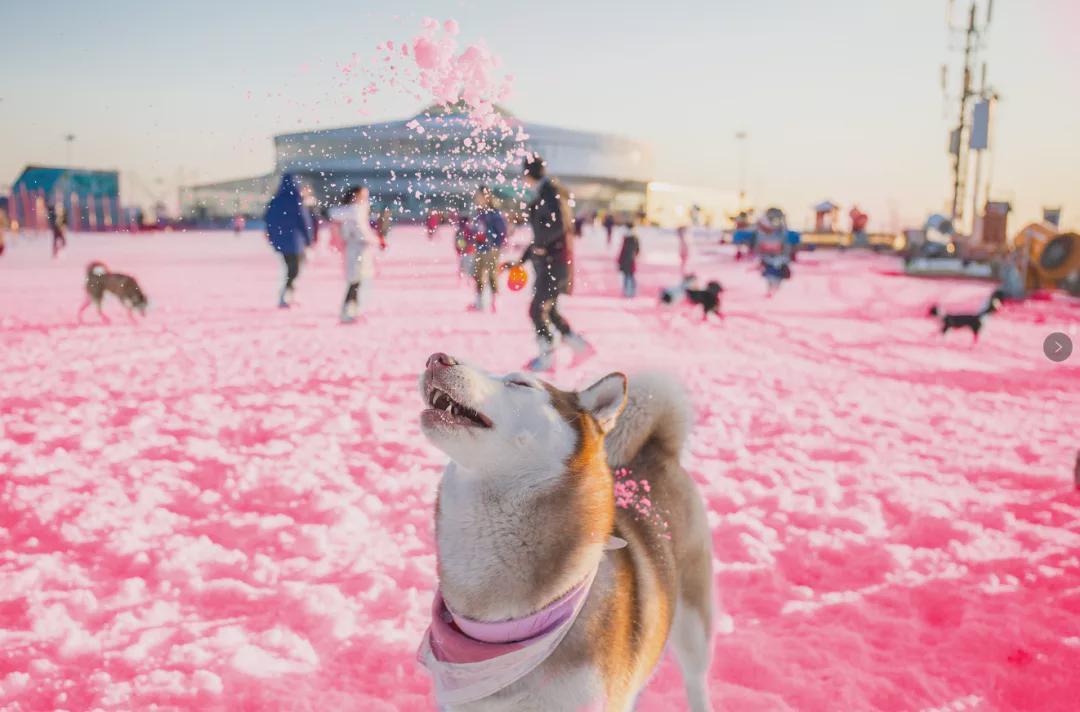 小信的世界最新科技前沿產(chǎn)品亮相，生活變革從此刻啟程