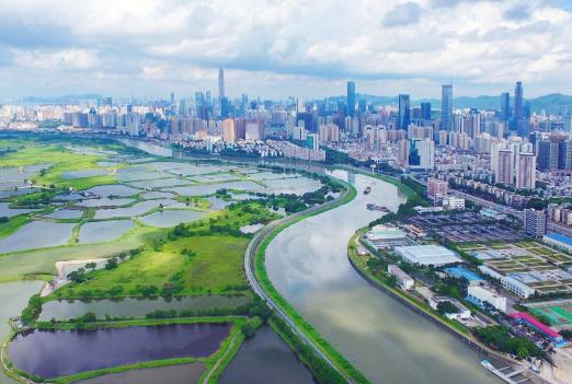 當(dāng)下流行語探尋之旅，與大自然共舞，尋找內(nèi)心平靜之旅