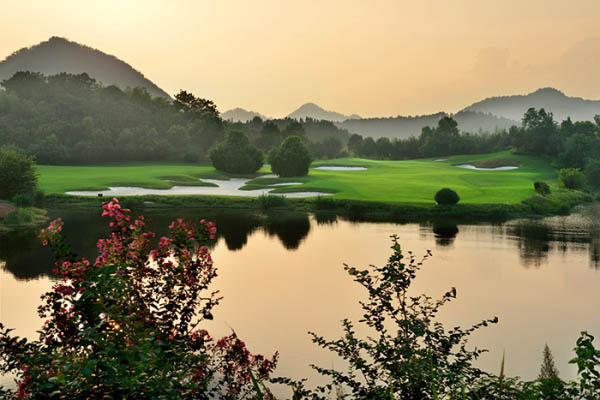 風(fēng)水最新動(dòng)態(tài)，日常小事中的風(fēng)水奧秘與溫馨解讀