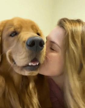 時(shí)代潮流還是陷阱？深度解讀最新趨勢背后的真相